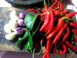Sambal Teri