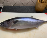 Foto del paso 1 de la receta: Bonito en salsa