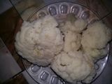 عجيجات شفلور