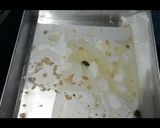 Foto langkah ke 4 dari resep Keripik Bayam.