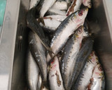 Foto del paso 1 de la receta: Sardinas al Horno