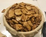 A picture of step 14 of Binging with Babish Apple Pie.