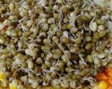 हिरव्या मुगाचे सलाद (कडधान्य) (Green Moong Salad Recipe In Marathi) रेसिपी स्टेप 3 फोटो 