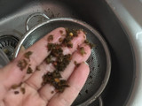 ماش پلو یا کته ماش