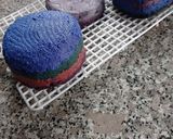 Foto del paso 4 de la receta: Quesos veganos de anacardos 🌈