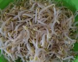 Foto langkah ke 6 dari resep Soto Ceker.