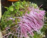 Hình bước làm 1 của món Dưa bắp cải, rau mầm củ cải đỏ