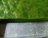 Foto langkah ke 3 dari resep Kue Yet-yet Pandan.
