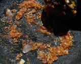 Foto langkah ke 1 dari resep Pepes tahu teri kemangi.