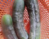 A picture of step 1 of Cucumber salad.