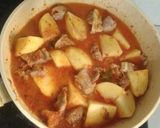 Foto langkah ke 11 dari resep Gulai daging sapi & kentang.