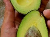Avocado's Roasted Toast