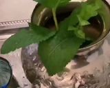 Une image de l'étape 3 de Thé vert menthe fraiche pignon de pin.
