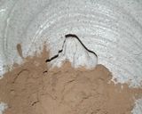 Foto del paso 4 de la receta: Helado de chocolate Oaxaqueño acompañó de 3 recetas más
