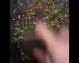 Foto langkah ke 2 dari resep Pencok kacang panjang.