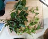 薄荷香草茶的食譜步驟1照片