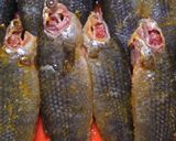 কৈ মাছের তেল ঝাল বা তেল কৈ(tel koi recipe in Bengali) রেসিপির ধাপ 1 ছবি