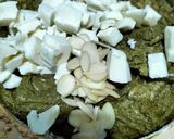 Foto langkah ke 3 dari resep Soft cookies.