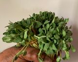 A picture of step 1 of Methi Thepla.