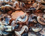 Une image de l'étape 7 de Boeuf Bourguignon.
