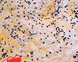 صورة لخطوة 5 من وصفة خبز الدار قطن 🌹❤🥺