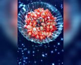 عکس مرحله 2 از دستور انار باطعم رب انار