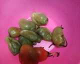 Foto langkah ke 1 dari resep 15 | Ase Cabe Gendot.