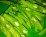 Foto langkah ke 1 dari resep Tumis Tempe Buncis Wortel.