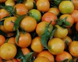 Une image de l'étape 1 de Jus detox clémentine🍊 miel🍯 gingembre.