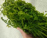 夏日小菜同樂會-涼拌叻沙過貓的食譜步驟1照片