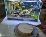 Foto langkah ke 8 dari resep Slice Cake Rumahan.
