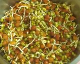 স্পাউটস স্যালাড(sprouts salad recipe in Bengali) রেসিপির ধাপ 1 ছবি