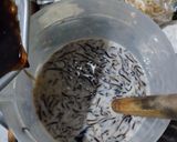 Foto langkah ke 4 dari resep Cincau Serut Gula Palem.