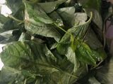 Sayur bayam