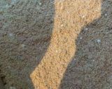 Almás Zserbó 🤤 recept fázis 4 fotója