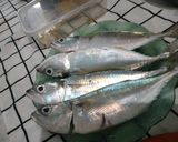 Foto langkah ke 1 dari resep Pepes Ikan Kembung Sedap.