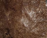 कोको चोको रोल (Coco Choco roll recipe in Hindi) रेसिपी चरण 6 फोटो