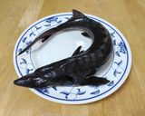 鱘龍魚三吃之完結篇 蔥燒鱘龍魚的食譜步驟1照片