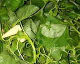 Foto langkah ke 1 dari resep Sayur Bayam Ala Rumahan.