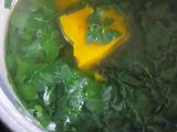 Sayur Bening Daun Kelor
