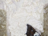 Queso crema casero con leche en polvo