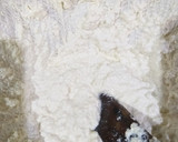 Foto del paso 6 de la receta: Queso crema casero con leche en polvo