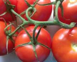 Foto del paso 8 de la receta: Hígado de res en su salsa