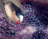 عکس مرحله 8 از دستور شربت انگور 🍇