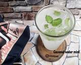 Cara Membuat Coconut water mint 3