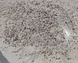 A picture of step 2 of Dal bati churma.