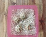 Foto langkah ke 6 dari resep Mushroom Chicken Ball (Gluten Free).