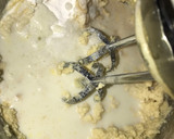A picture of step 1 of Basbousa.
