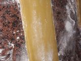 Lasagna de carne, jamón y queso