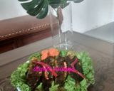 Foto langkah ke 5 dari resep Ikan panggang pacak.